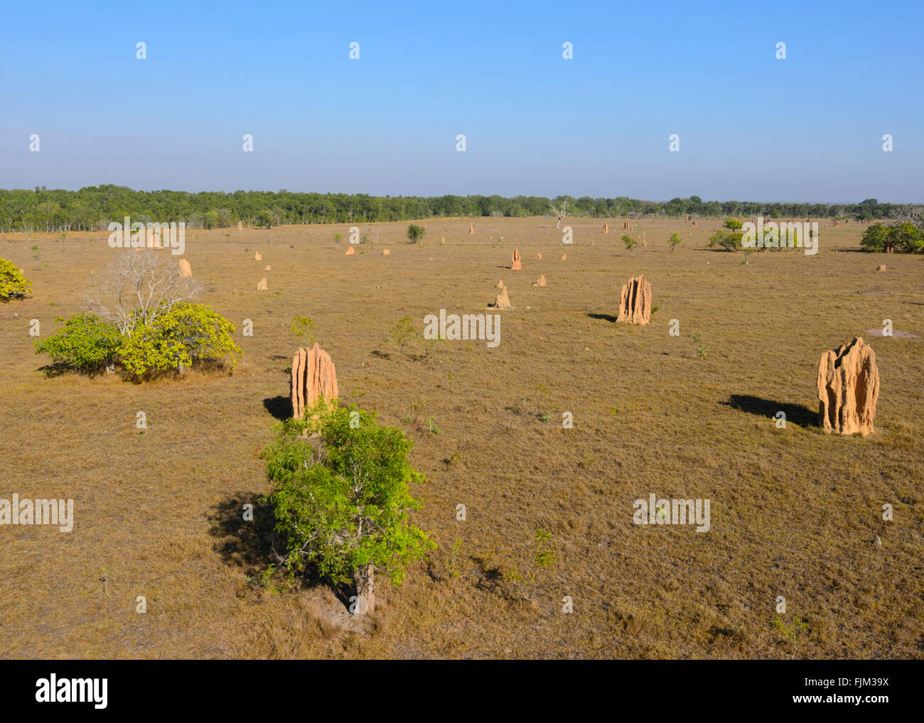 Luftaufnahme der Termitenhügel, in der Nähe von Darwin, Northern Territory, Australien Stockfoto