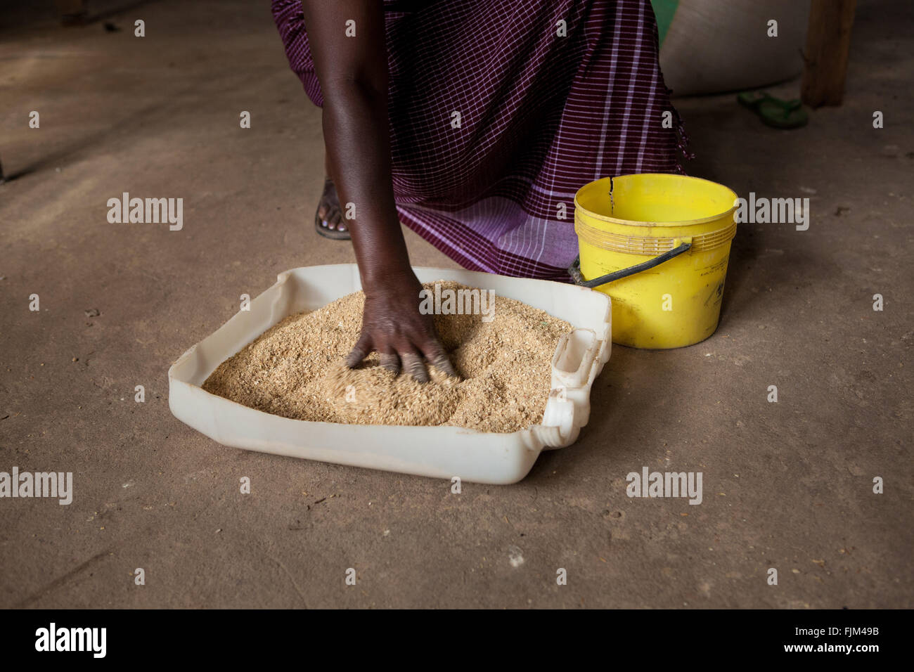 Ein Landwirt, Verfütterung von Getreide an ihre Hühner, Tansania. Stockfoto