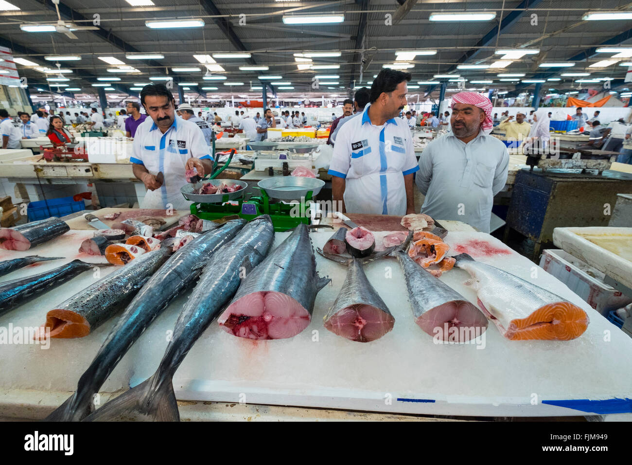 Thunfisch für den Verkauf auf Stand auf Dubai Fischmarkt in Deira, Vereinigte Arabische Emirate Stockfoto
