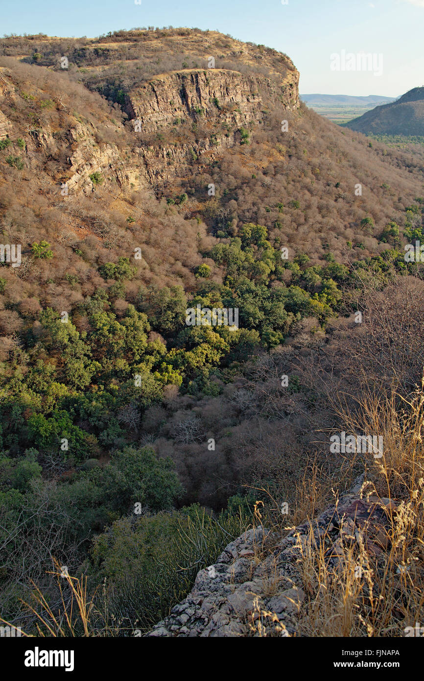 Blick über Ranthambore Nationalpark, Indien Stockfoto