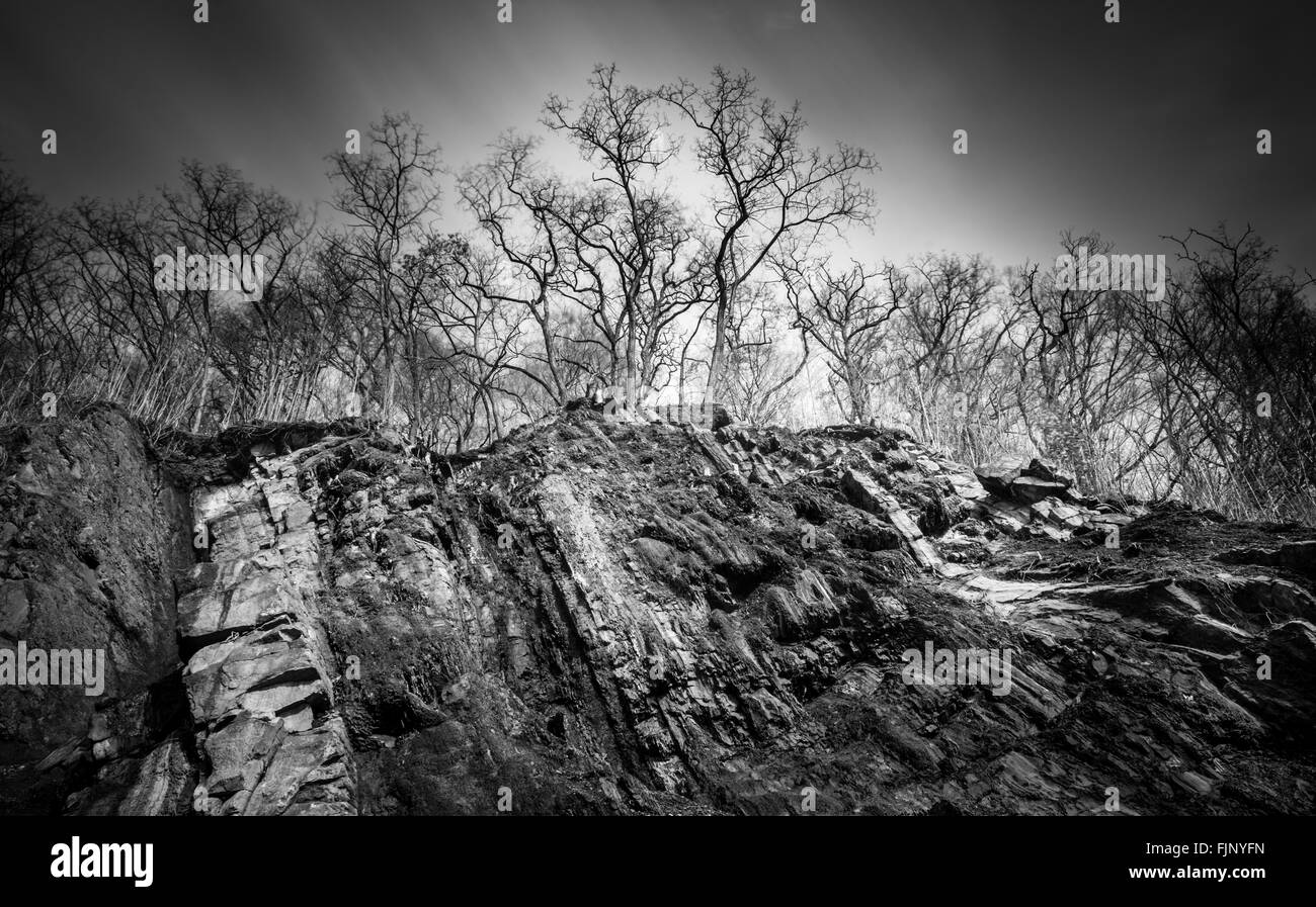 Alte schwarze Kohlemine in der regnerischen Tag schwarz-weiß Fotografie Stockfoto