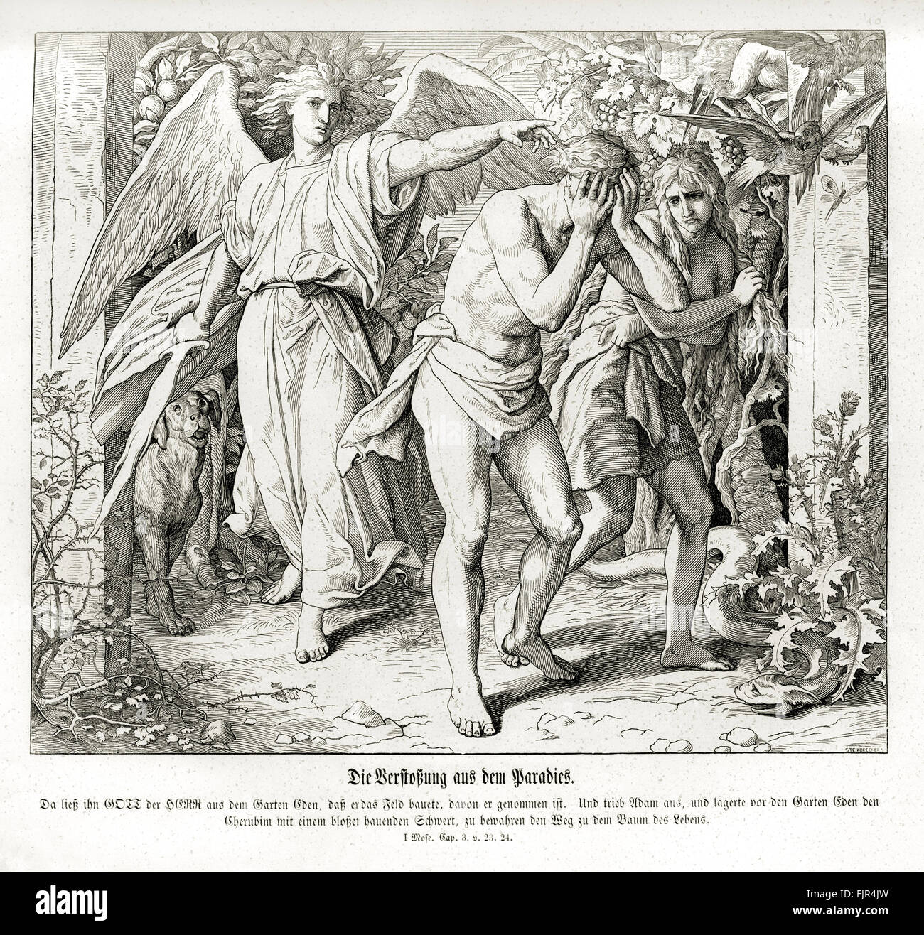 Die Verbannung aus dem Paradies, Genesis Kapitel III Vers 23-24 "daher Gott, der Herr sandte ihn aus dem Garten Eden, bis der Boden von woher er genommen war.  Also fuhr er den Mann; und er legte an der Ostseite der Garten von Eden Cherubims und einem Flammenschwert die verwandelt jeden Weg, den Weg vom Baum des Lebens zu halten. " 1852-60 Illustration von Julius Schnorr von Carolsfeld Stockfoto