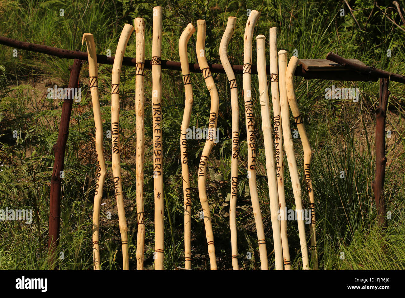 Walking-Stöcke, Stöcke, zum Verkauf kaufen Ehrlichkeit Box auf Bergwanderweg, Drakensberg Park Südafrika. Stockfoto