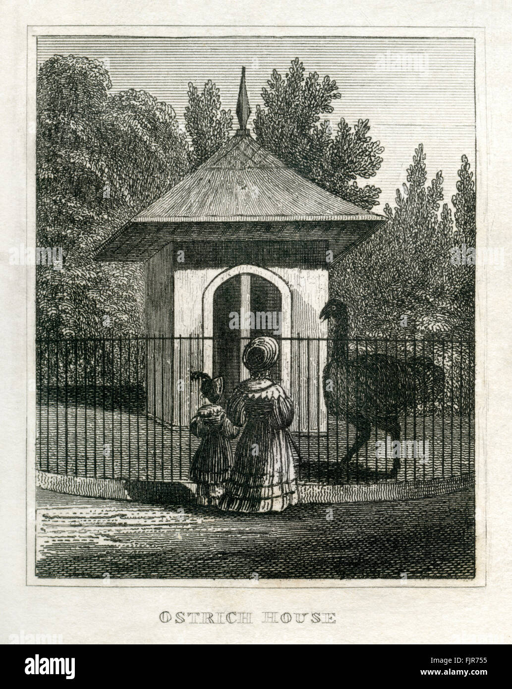 Strauß-Haus, Regents Park Zoological Gardens, London. Ab 1835 print. Stockfoto