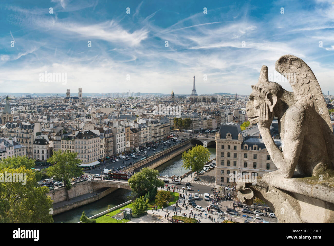Wasserspeier und Blick auf die große Stadt vom Dach von Notre Dame de Paris Stockfoto
