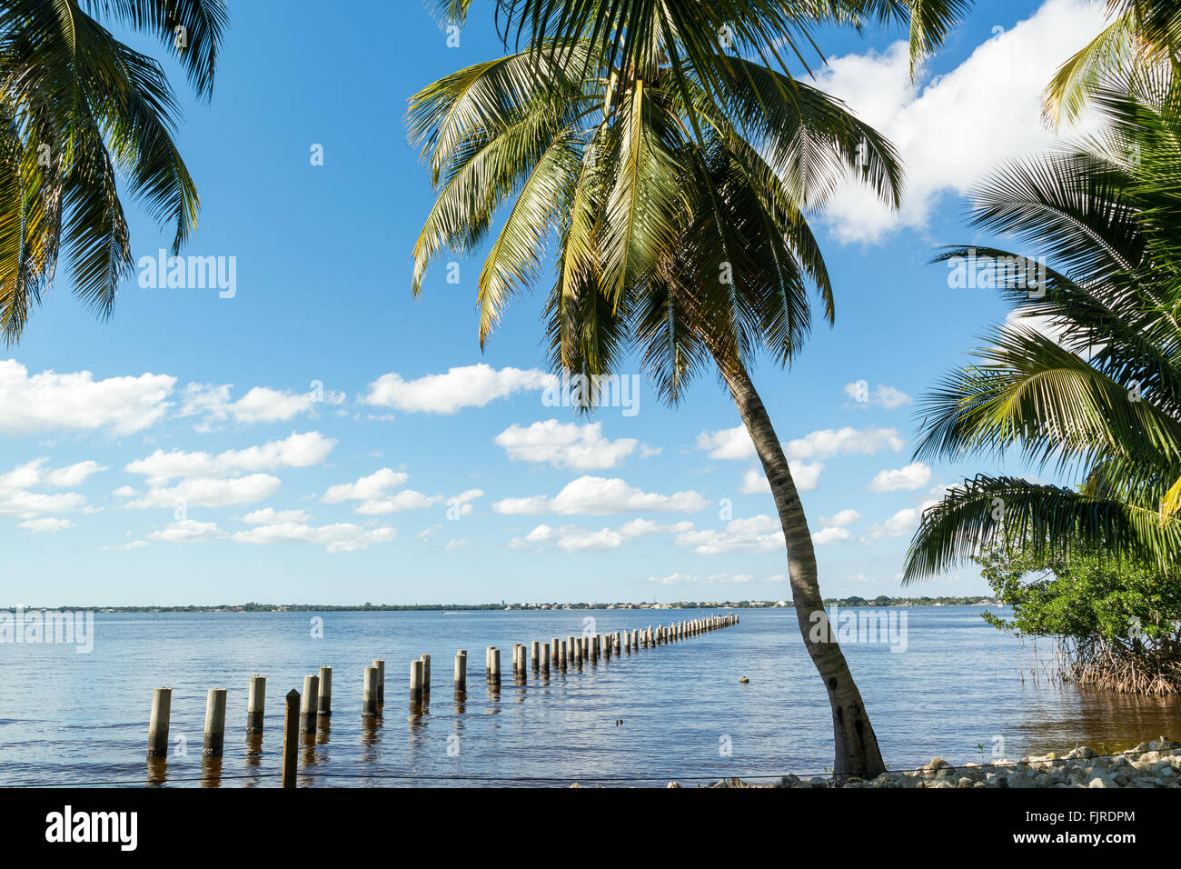 Edison Pier in Caloosahatchee River und Palmen Bäume in Fort Myers, Florida, USA Stockfoto