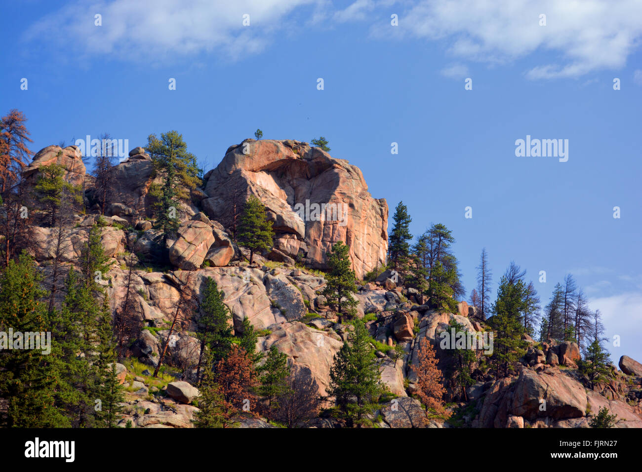 Big Rock Canyon Felsbrocken. Berg Felsbrocken mit Bäumen an einem sonnigen Tag. Stockfoto