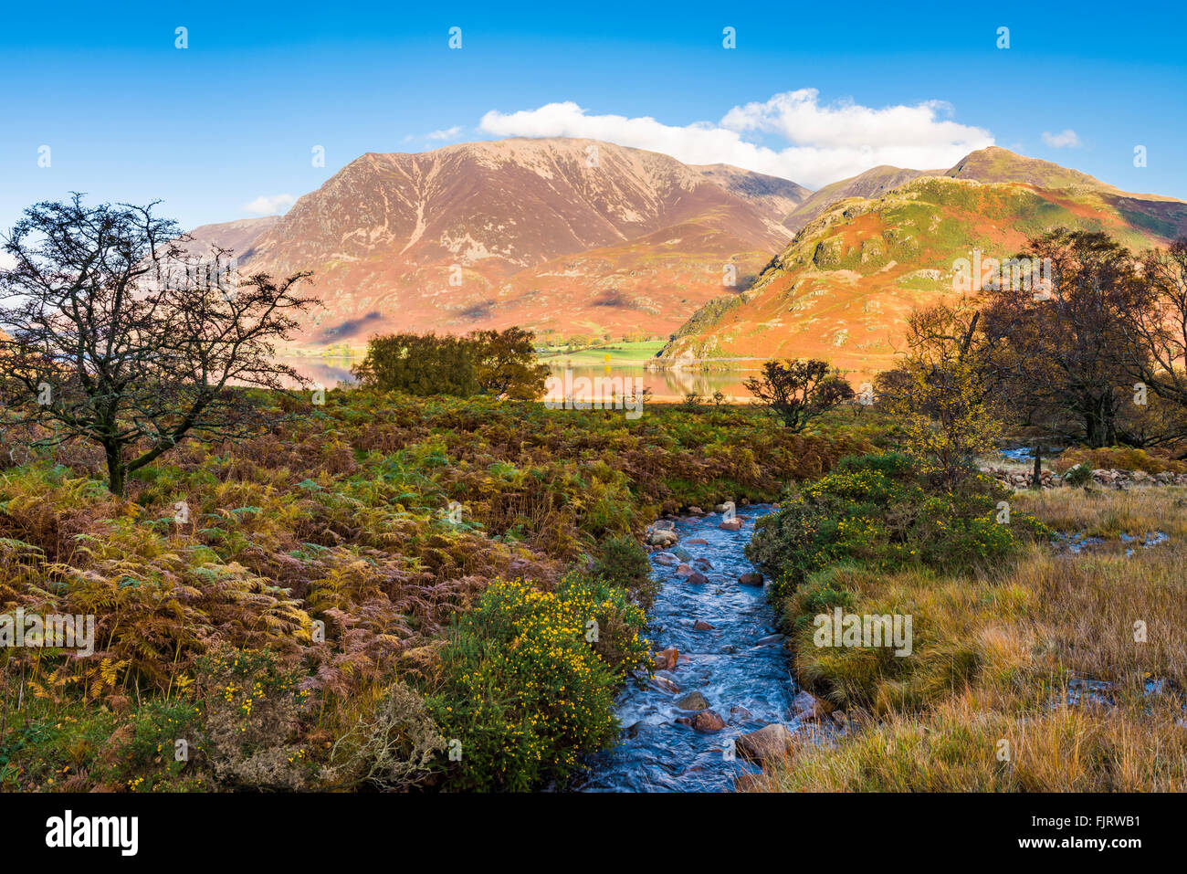 Skala-Beck mit Crummock Wasser und Grasmoor in der Ferne. Die Seenplatte, Cumbria, England Stockfoto