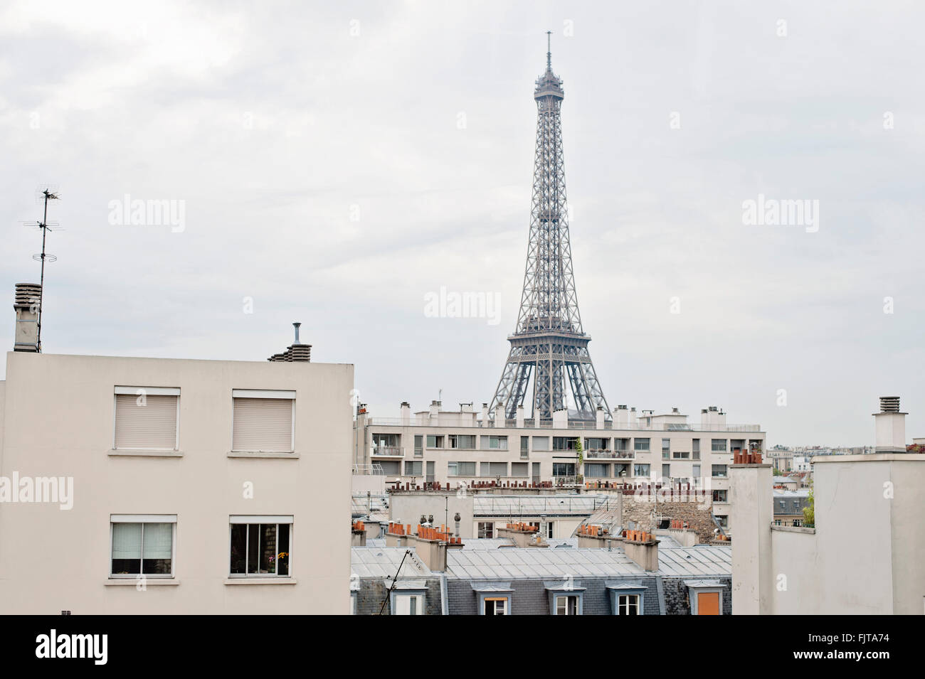 Blick auf den Eiffelturm über die Dächer von Paris Stockfoto