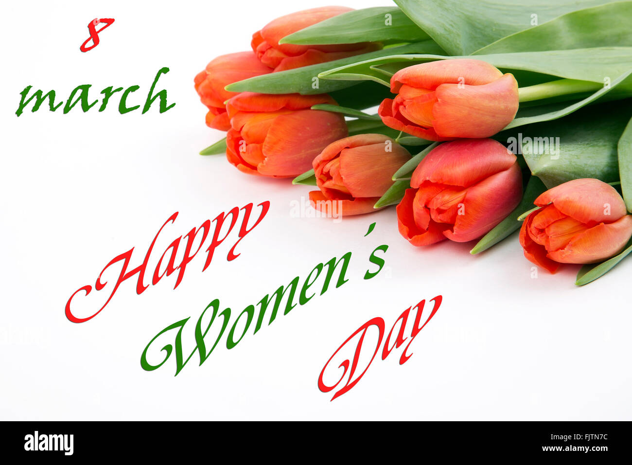 Happy Womens Day - rote Tulpen auf weißem Hintergrund Stockfoto