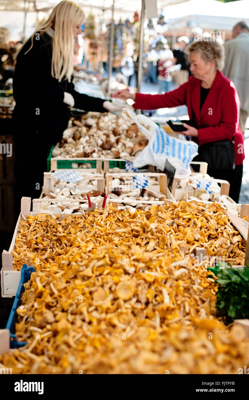 Ein Marktstand, Verkauf von Pilzen am Münchner Viktualienmarkt Stockfoto
