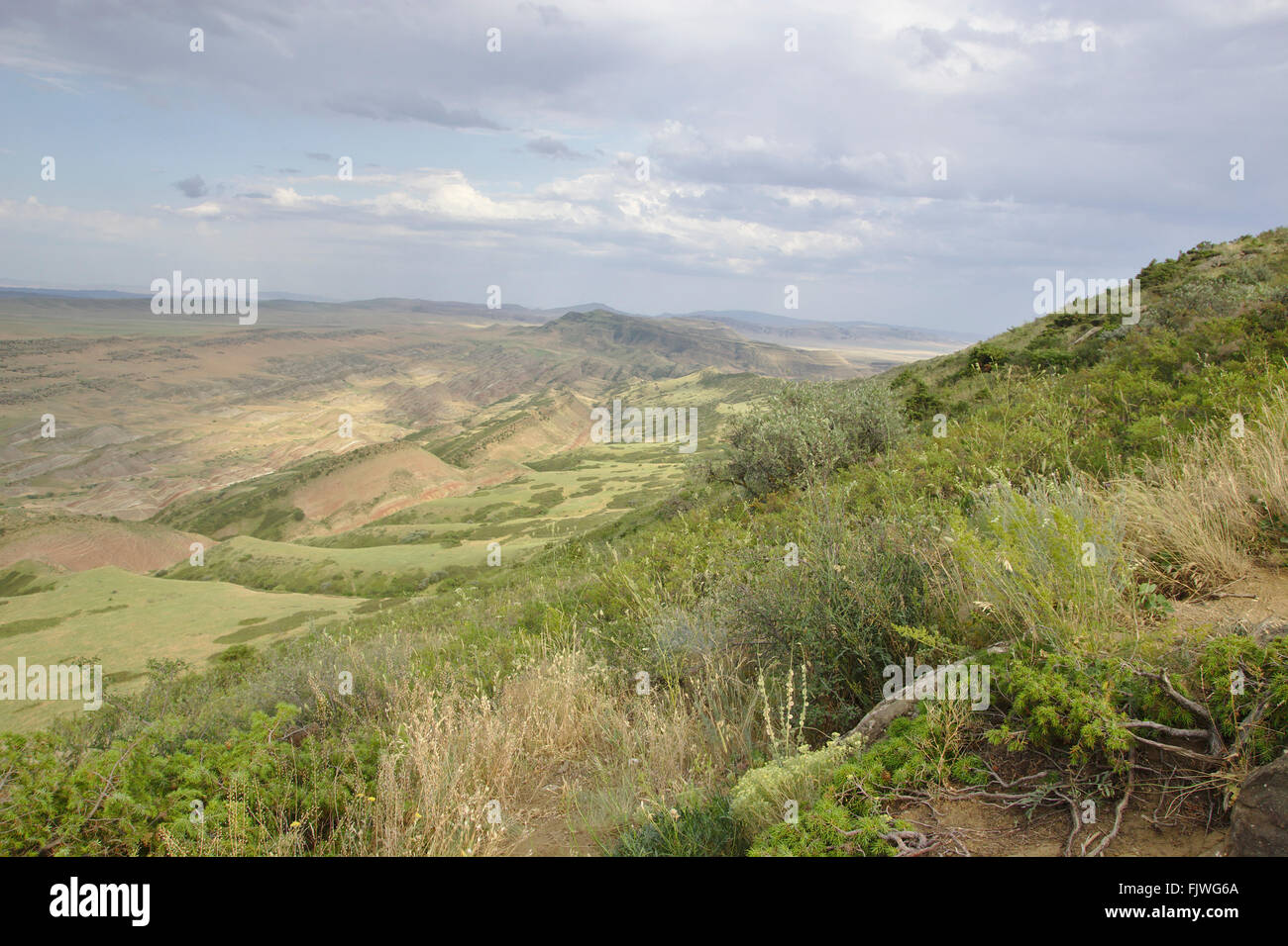 Steppe in der Nähe von David Gareja Kloster, Georgia Stockfoto