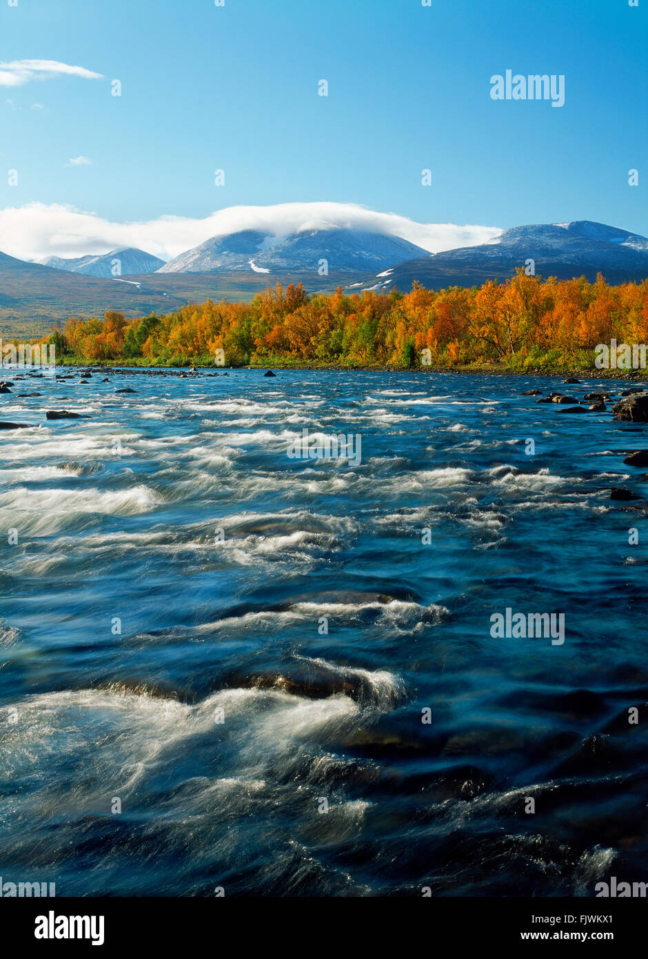 Abisko Fluss im Abisko Nationalpark in Schwedisch-Lappland Stockfoto