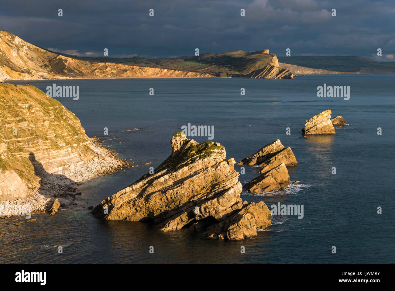 MUPE Bay Blick auf Warbarrow Bay auf der Lulworth Armee Range auf Dorset Jurassic Coast, ein UNESCO-Weltkulturerbe. Stockfoto