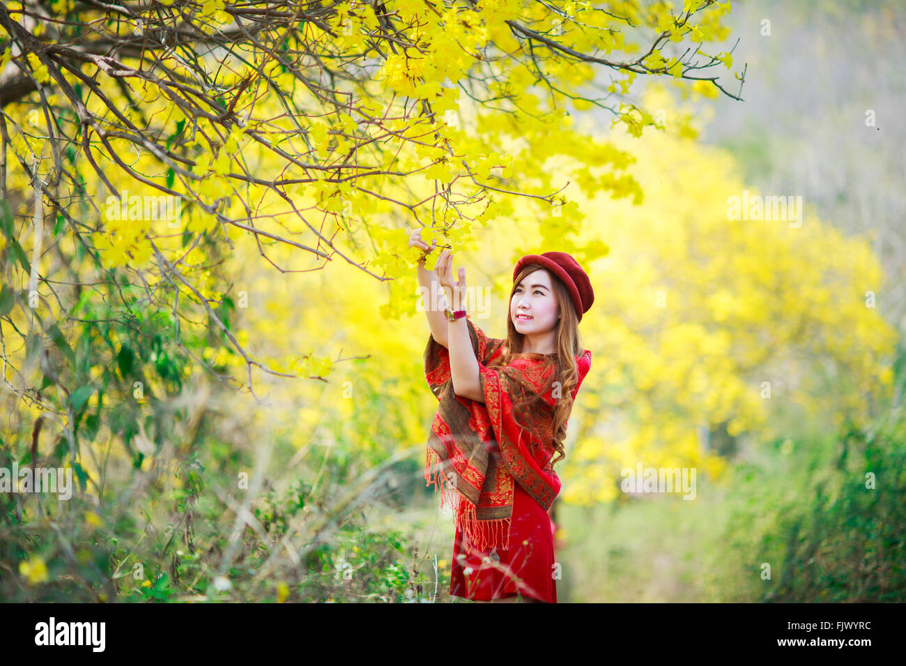 Porträt von einem schönen Mädchen unter den gelben Blüten in der Natur, Thailand, Asien. Stockfoto