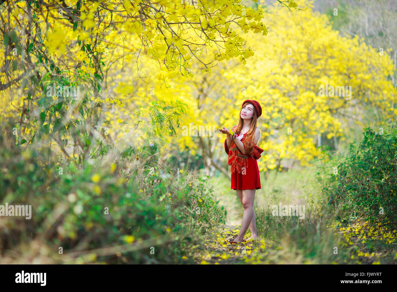 Porträt von einem schönen Mädchen unter den gelben Blüten in der Natur, Thailand, Asien. Stockfoto