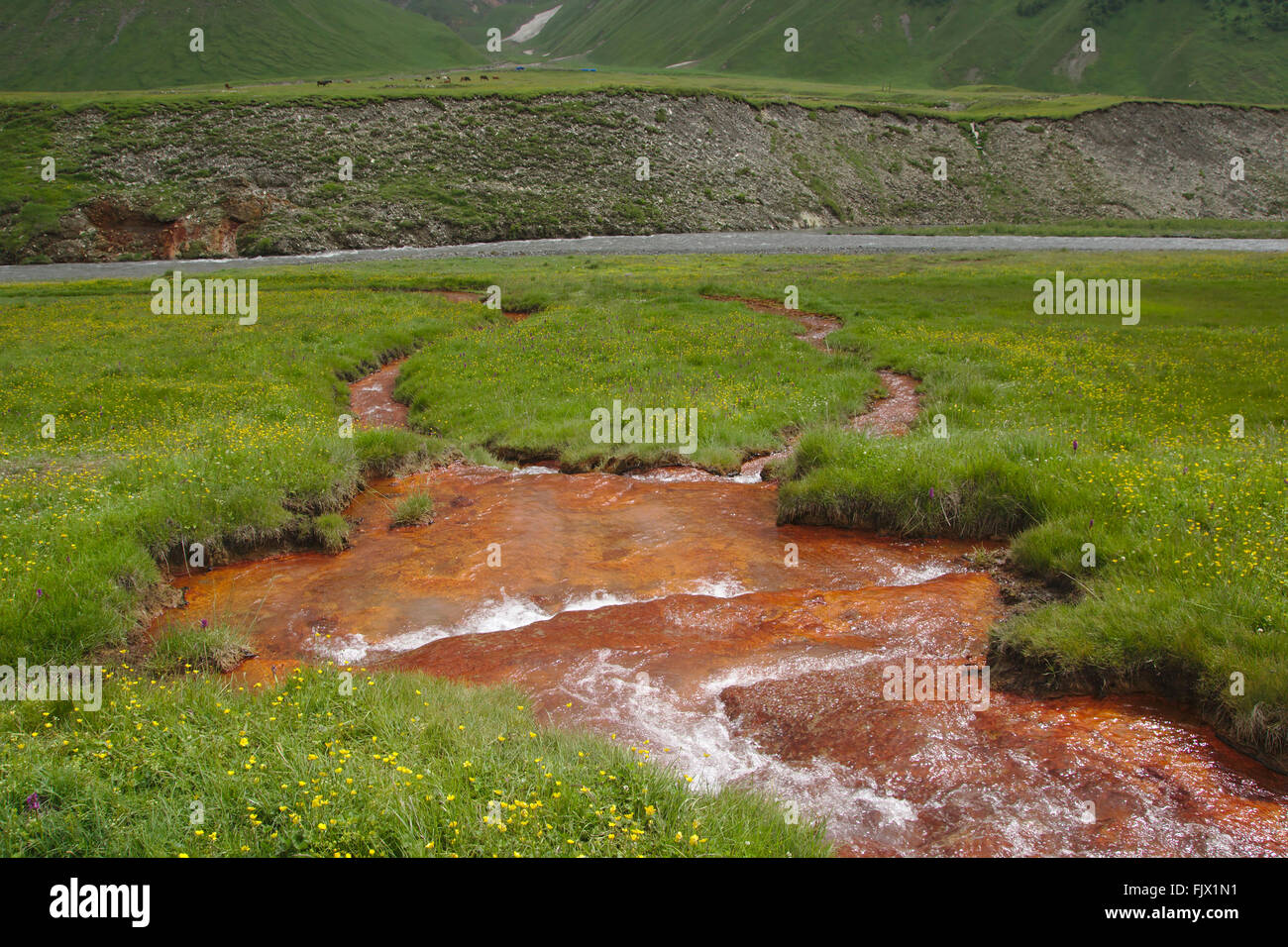 Stream mit mit Mineralwasser, Truso Tal, Kasbegi National Park, Georgia Stockfoto