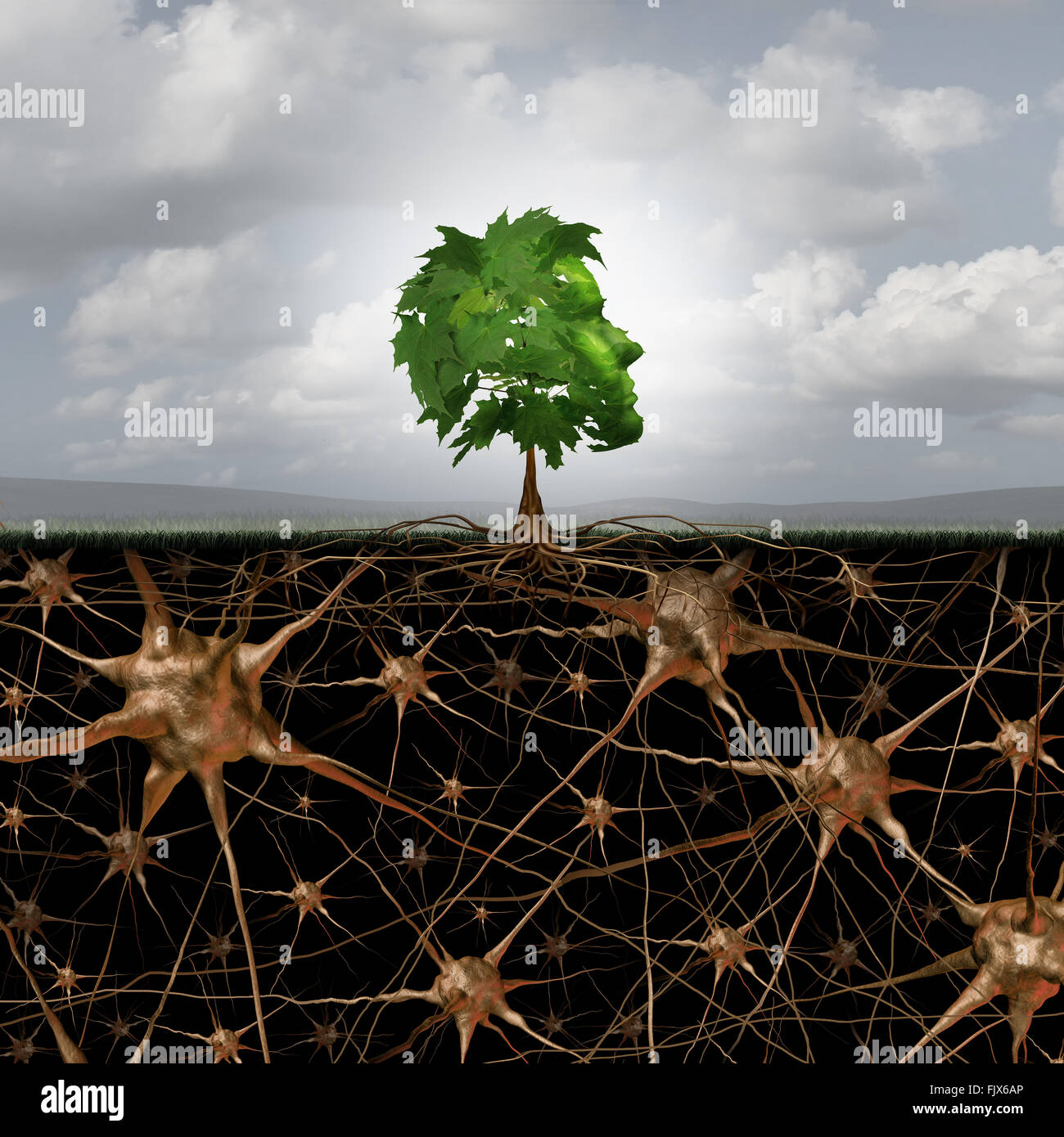 Neuron Gehirn Verbindung Konzept wie ein Baum in einer menschlichen Kopf Form mit Wurzeln geprägt als aktiv wachsende Neuronen mit Anschlüssen an die Anatomie des Nervensystems. Stockfoto