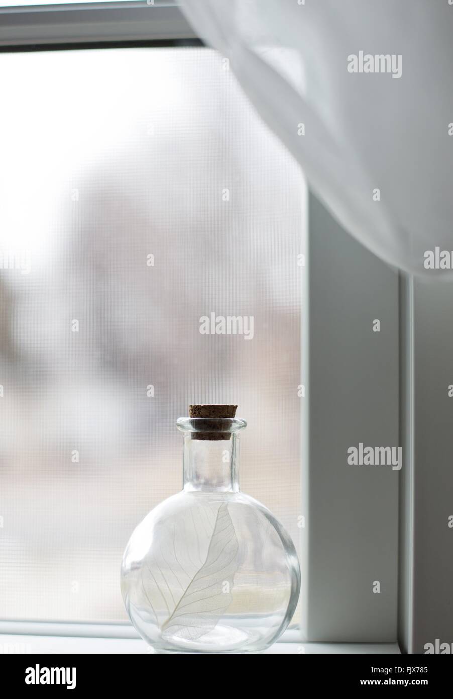 Eine Flasche enthält ein Skelett Blatt, sitzt auf der Fensterbank. Stockfoto