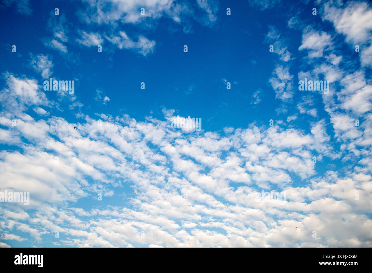 Big Blue Sky Kerala Indien Stockfoto