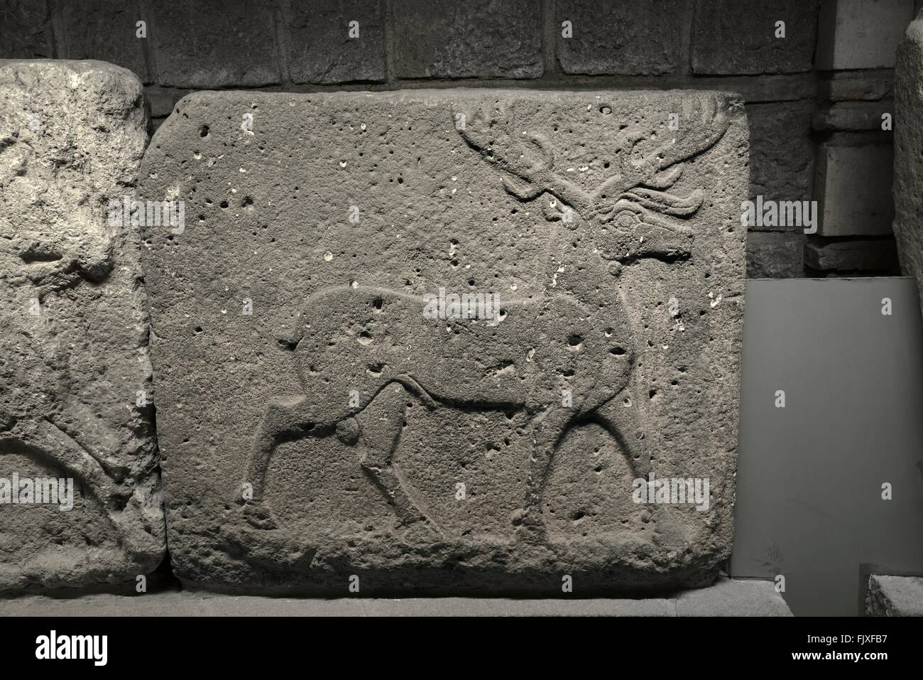Hirsch Hirsch mit Geweih. Schnitzen von Carchemish Basalt 8C BC. Museum für Anatolische Zivilisationen, Ankara, Türkei Stockfoto