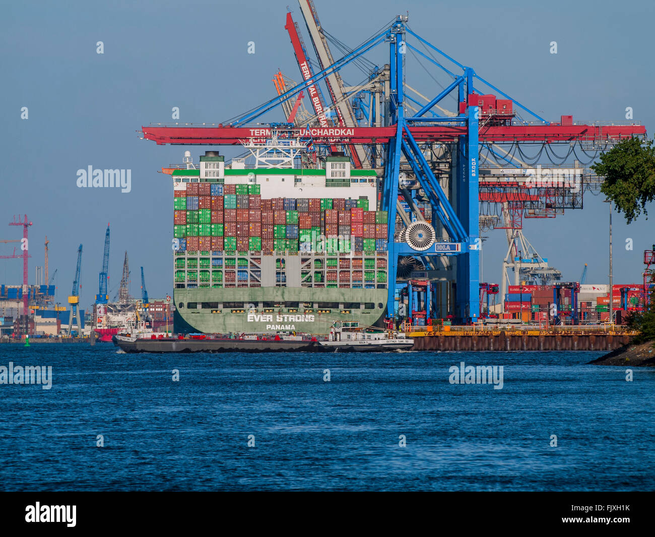 Containerschiff "Ever Strong" von Evergreen am HHLA Burchardkai im Hamburger Hafen festgemacht Stockfoto