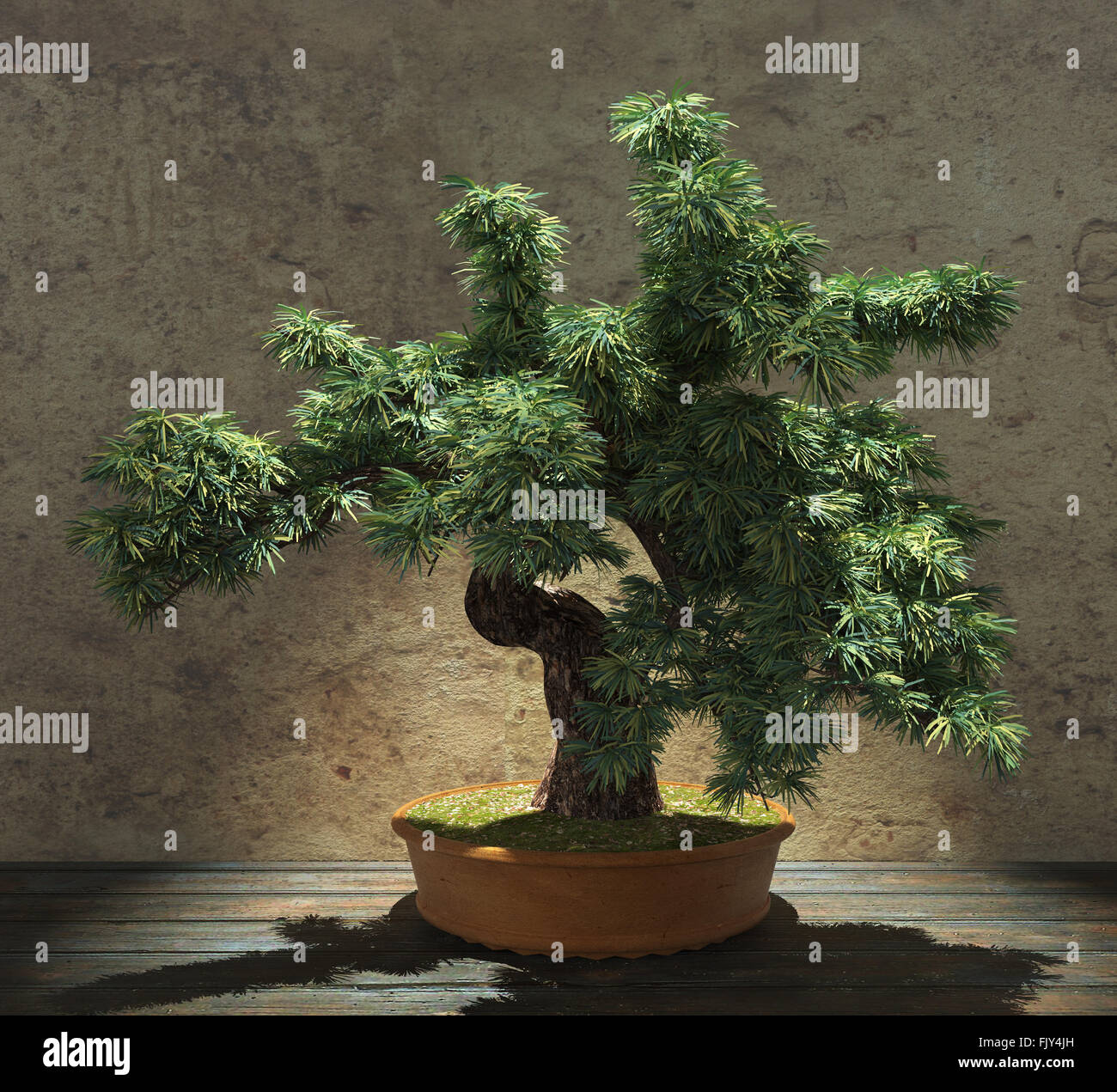 Dekorative Bonsai-Baum Stockfoto