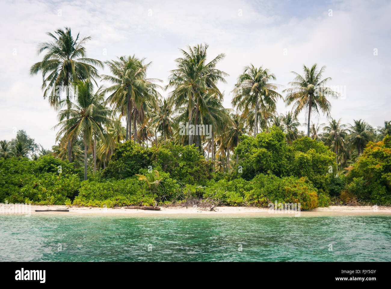 Ein weißer Sandstrand und tropischer Vegetation auf der Insel Gosong Tengah, Karimunjawa, Indonesien. Stockfoto