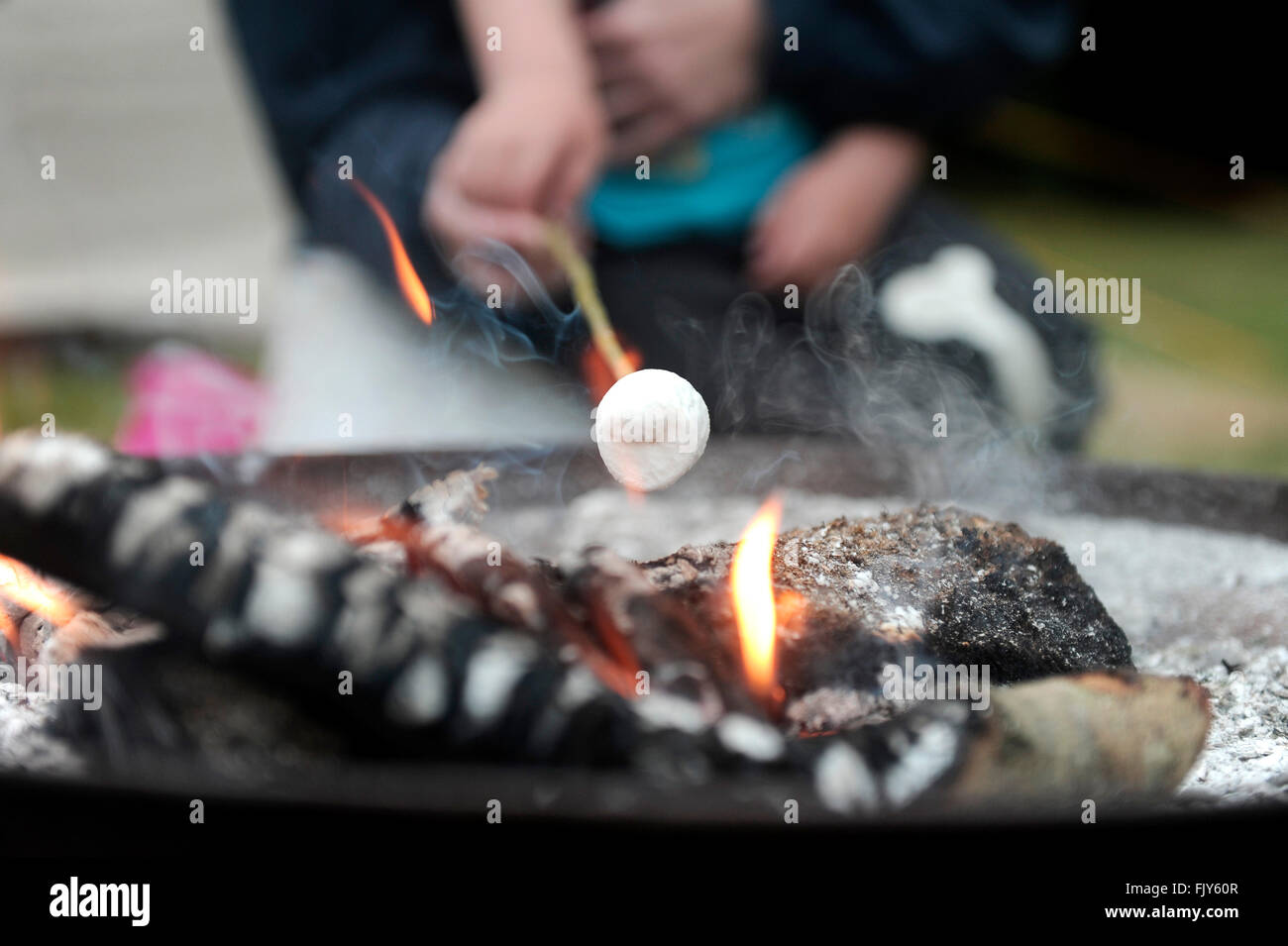Rösten von Marshmallows über dem offenen Feuer, uk campng Stockfoto
