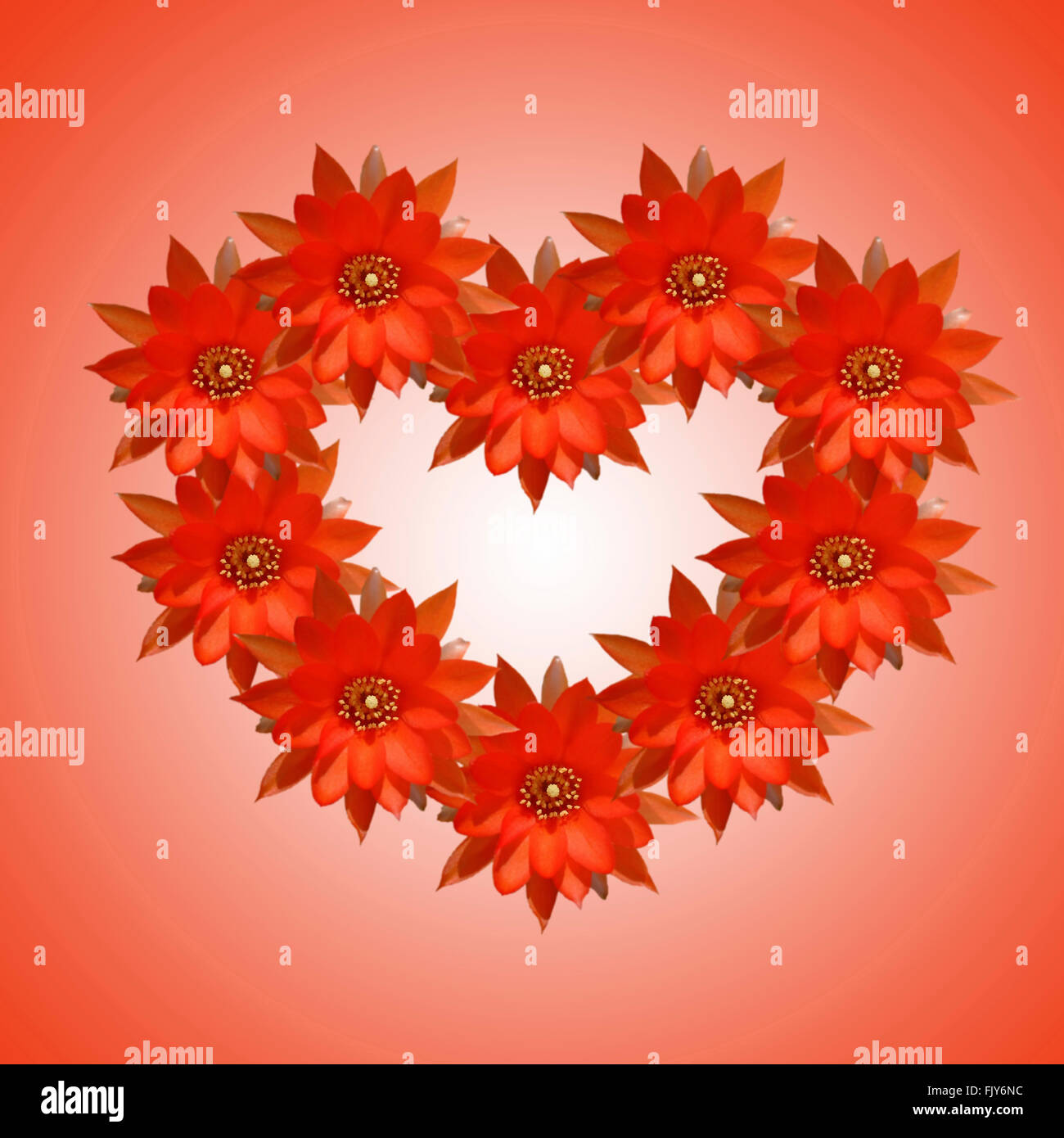 Blume-Hintergründe Karte zum Valentinstag Stockfoto