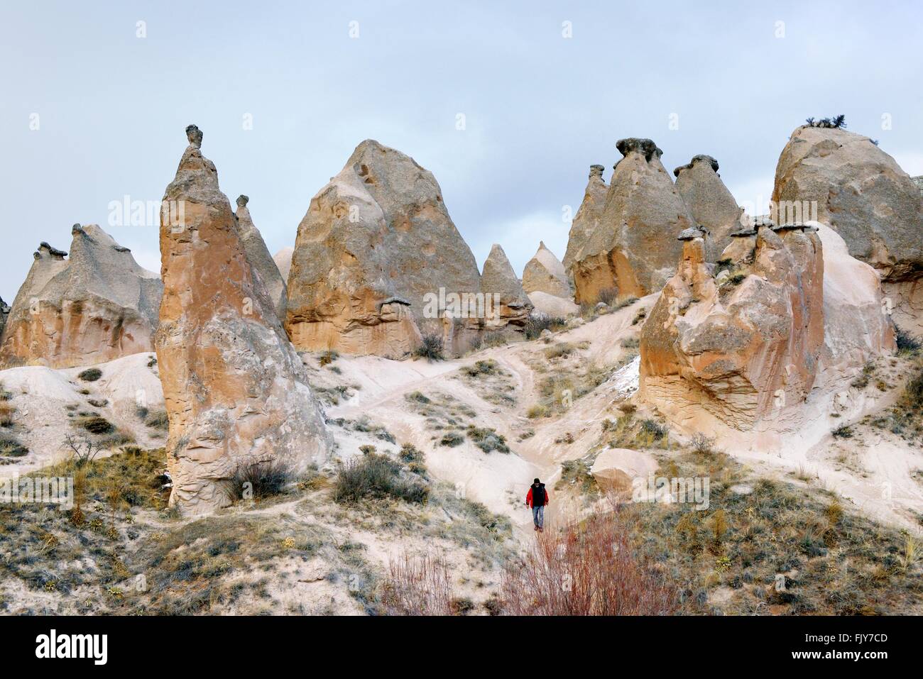 Erodiert vulkanischen Tuff rock Säulen in devrent Valley aka Phantasie oder rosa Tal. Nationalpark Göreme in Kappadokien, Türkei Stockfoto
