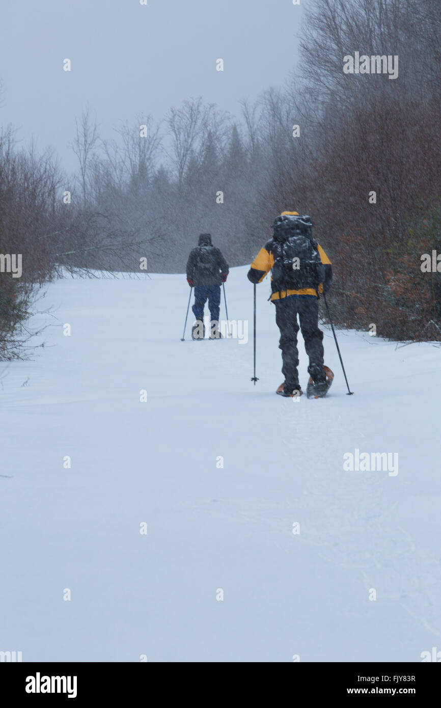 Zwei Senioren Schneeschuh an einem verschneiten Tag in den Wäldern des nördlichen Maine nahe Rangeley. Stockfoto