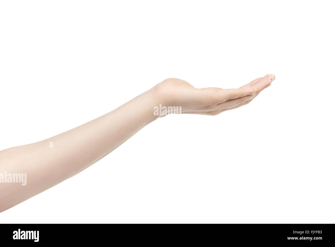 leere junge weibliche Hand etwas zu halten Stockfoto