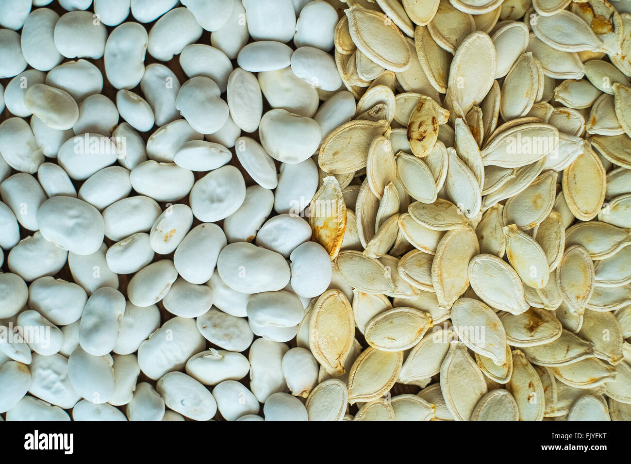 Weißen Kürbis Samen und weißen Bohnen Hintergrund. Ansicht von oben. Stockfoto