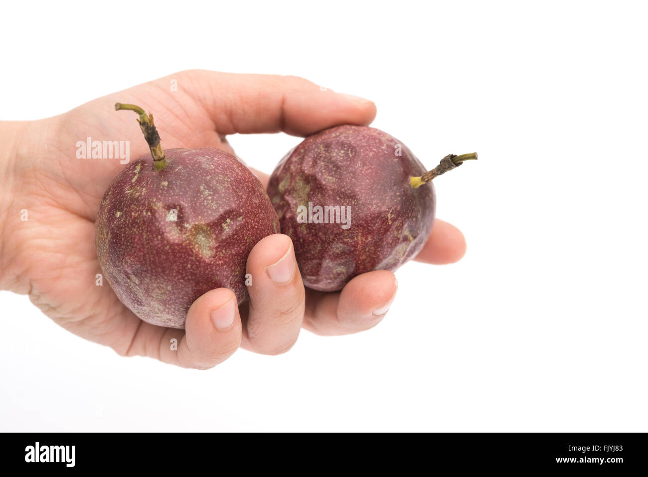 Hand, die zwei Passionsfrüchte auf weißem Hintergrund Stockfoto