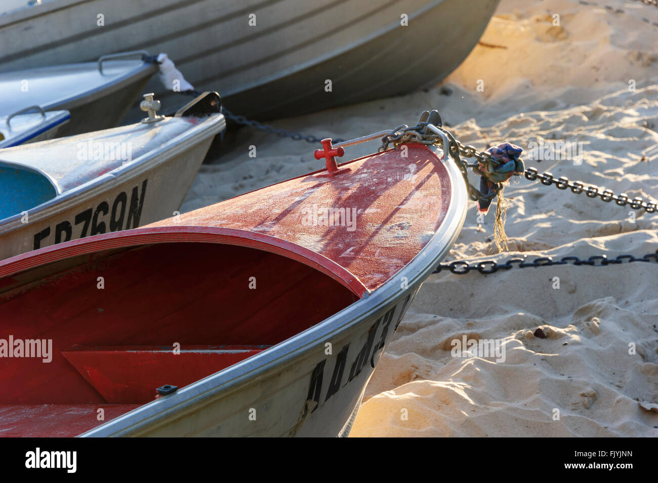 Zinn Boote am Coogee Beach, Sydney, New South Wales, Australien Stockfoto