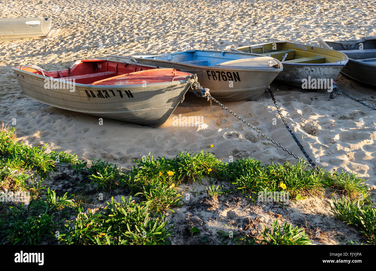 Zinn Boote am Coogee Beach, Sydney, New South Wales, Australien Stockfoto