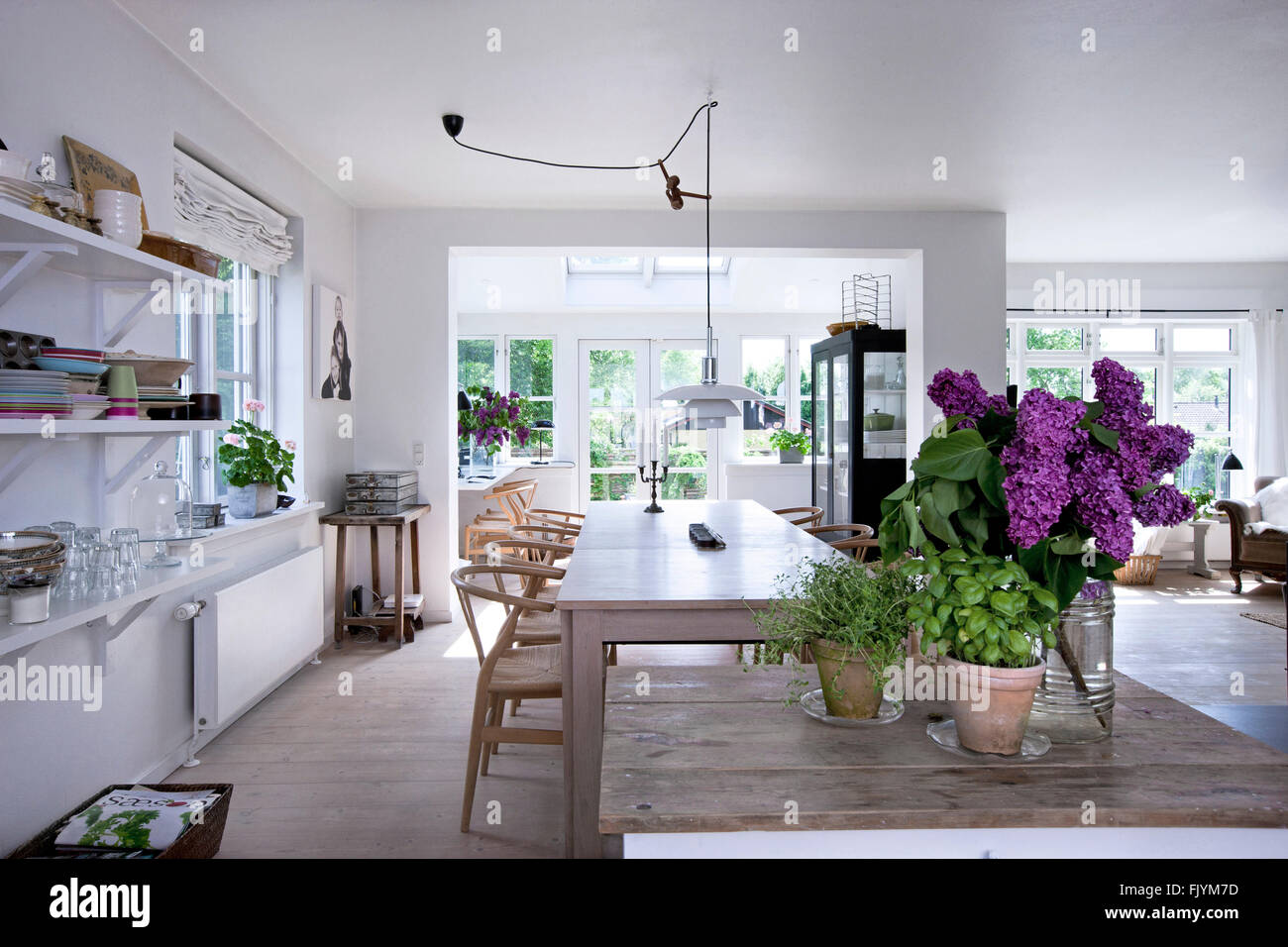 Hell, freundlich und gemütlich, Scandinavia. Eine luftige Küche mit weißen Wänden und Türen Einheit. Eine Insel mit Blumen. Stockfoto