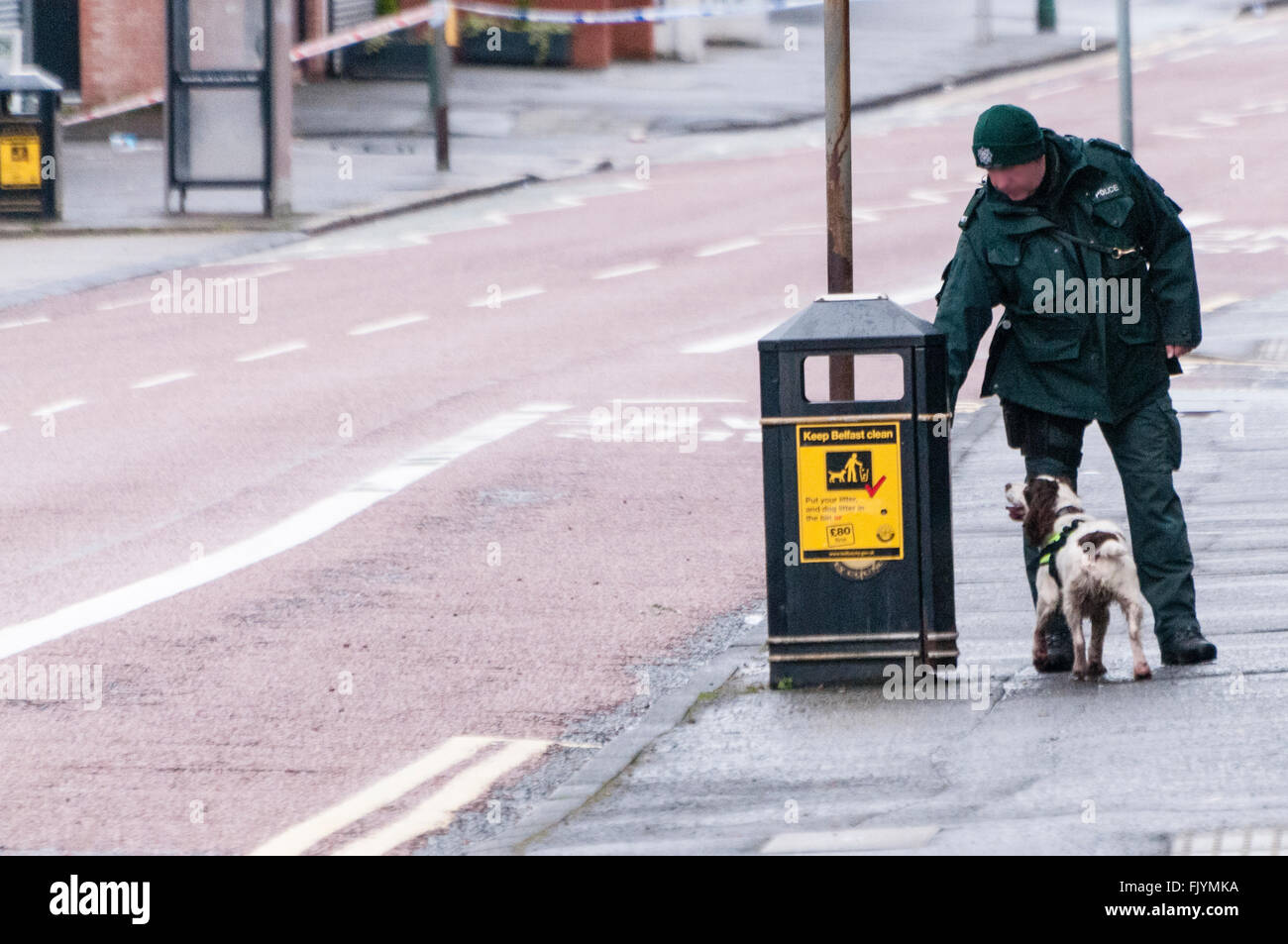 Belfast, Nordirland. 4. März 2016 - suchen A PSNI Hundeführer und seinen Hund Sprengstoff in einem Straße Abfallbehälter. Bildnachweis: Stephen Barnes/Alamy Live-Nachrichten Stockfoto