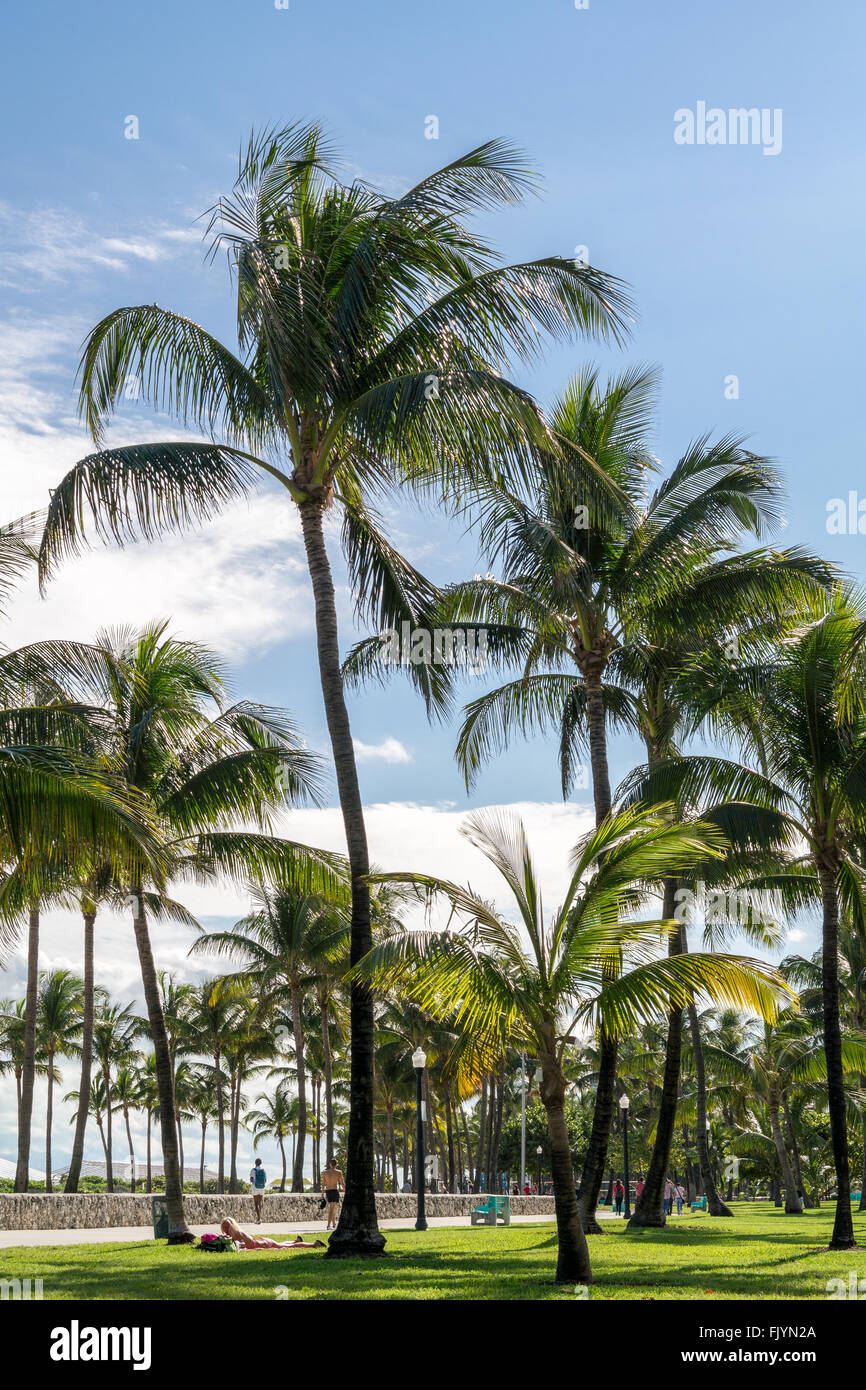 Menschen und Palmen Bäume auf South Beach Boardwalk in Miami Beach, Florida, USA Stockfoto