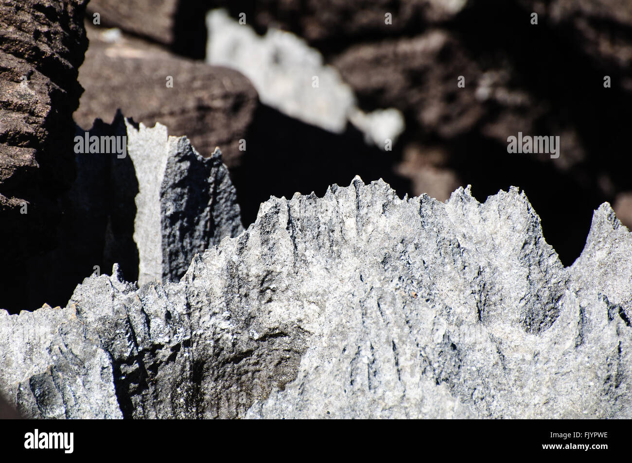 Ankarana Nationalpark Tsingy de, rockt der grauen Stein Wald von Madagaskar  Stockfotografie - Alamy