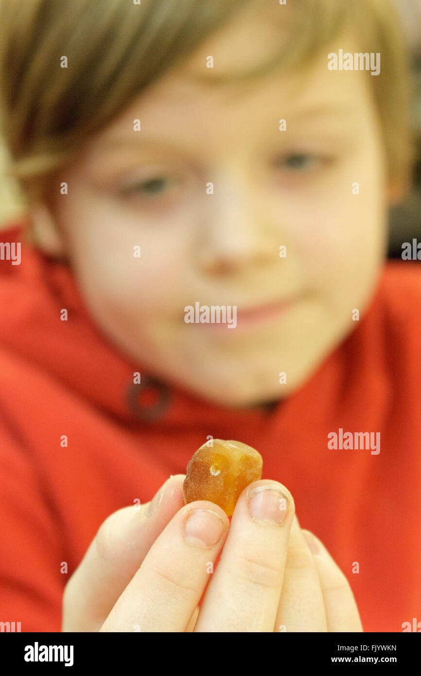 kleiner Junge, ein Stück Bernstein in der hand Stockfoto