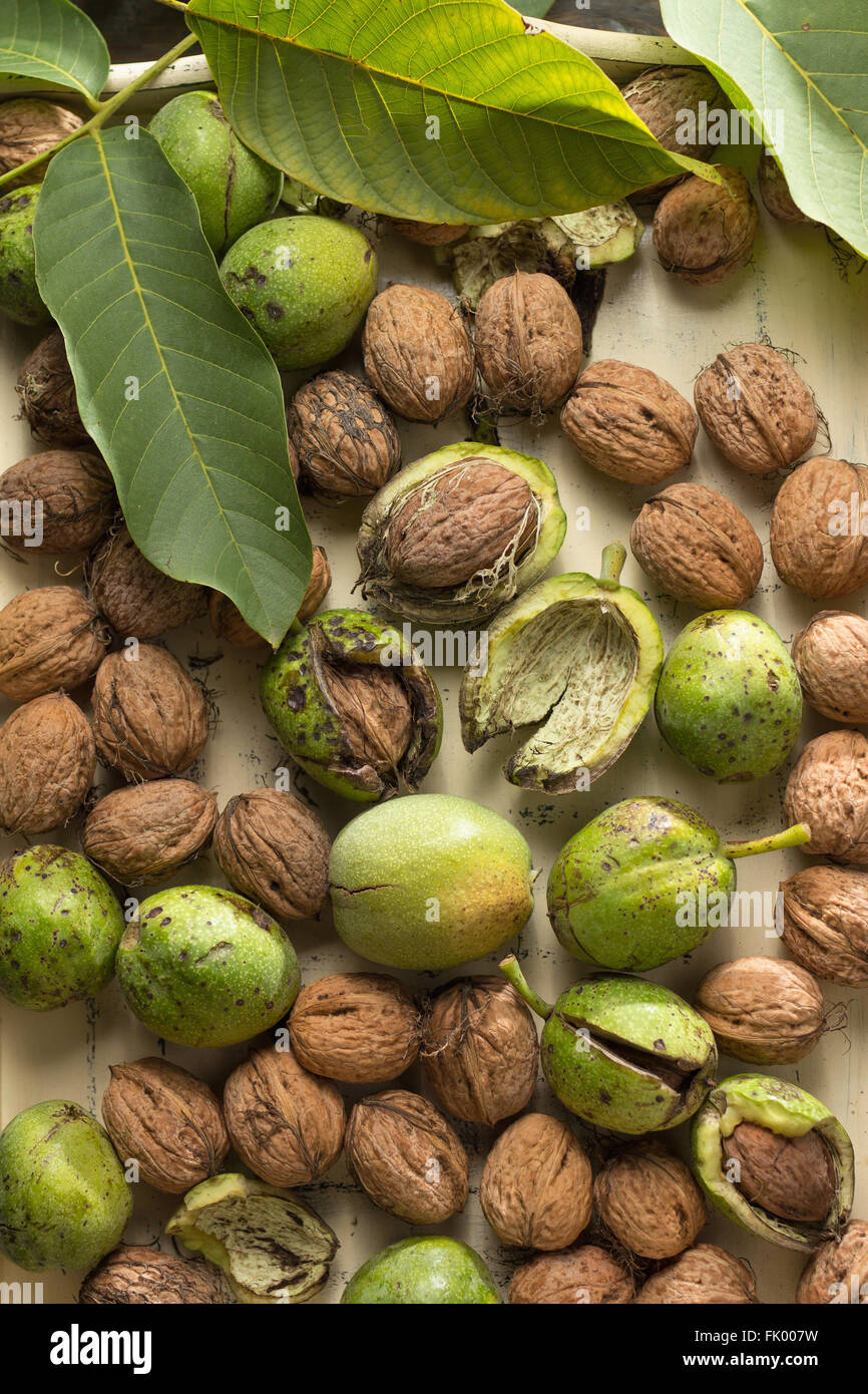 Walnüsse auf Holztisch im grünen Schalen Stockfoto