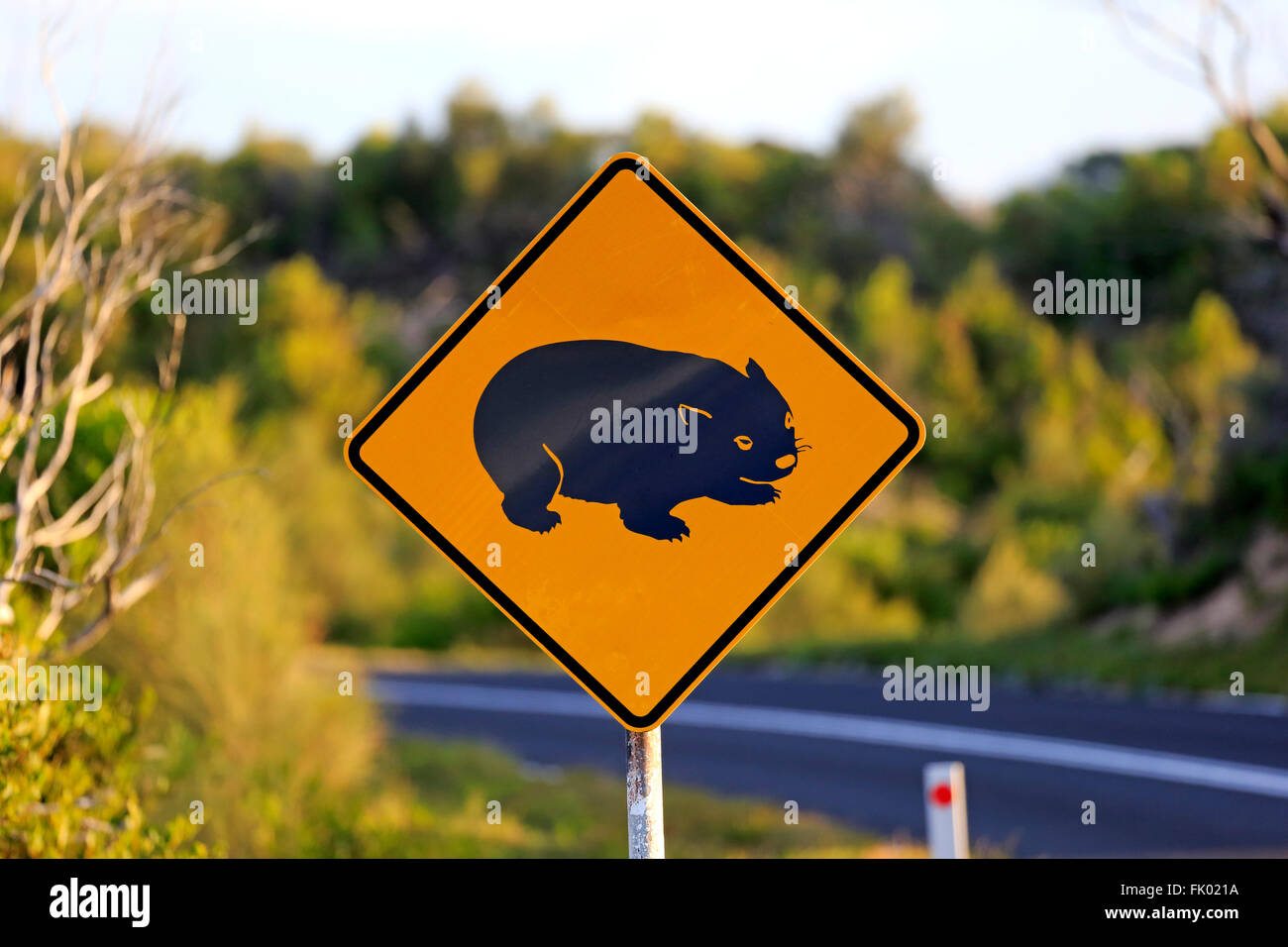 Verkehrszeichen, Schutz für Wombat, Victoria, Australien Stockfoto