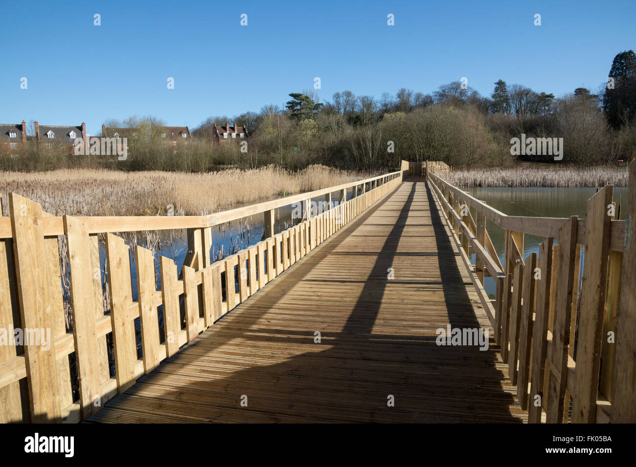 Neue hölzerne Zugang für Fußgänger Brücke über Feuchtgebiet Naturschutzgebiet Stockfoto