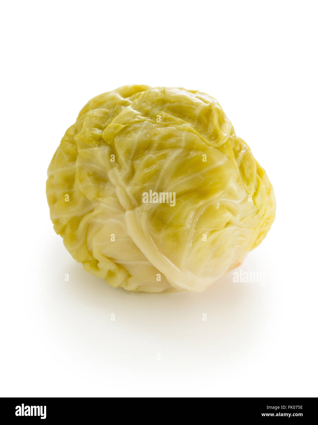 Sauerkraut-Kopf. Ein Gemüse, das sie durch Lacto-Fermentation des gesamten Staats-und Kohl bereit ist. Stockfoto
