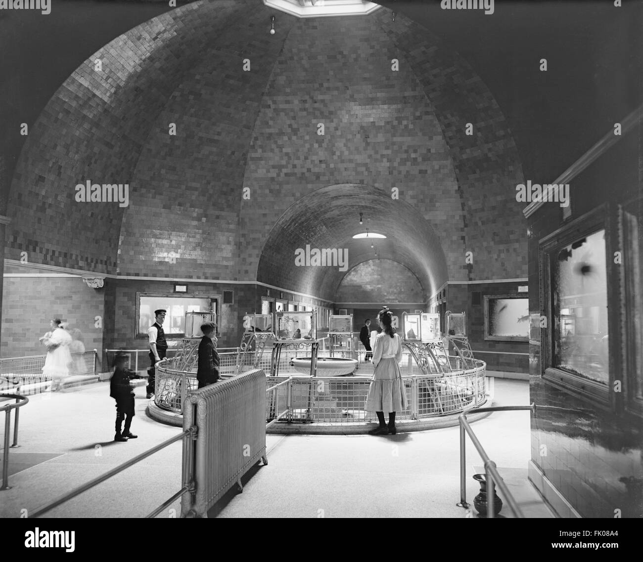 Aquarium, Belle Isle Park, Detroit, Michigan, USA, um 1910 Stockfoto