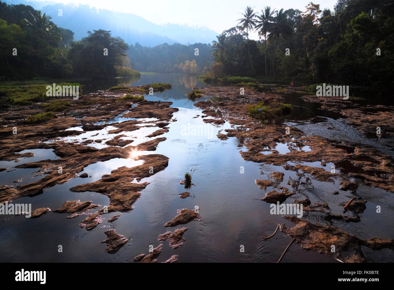 Periyar Nationalpark, Thekkady; Periyar; Kerala; Indien; Stockfoto