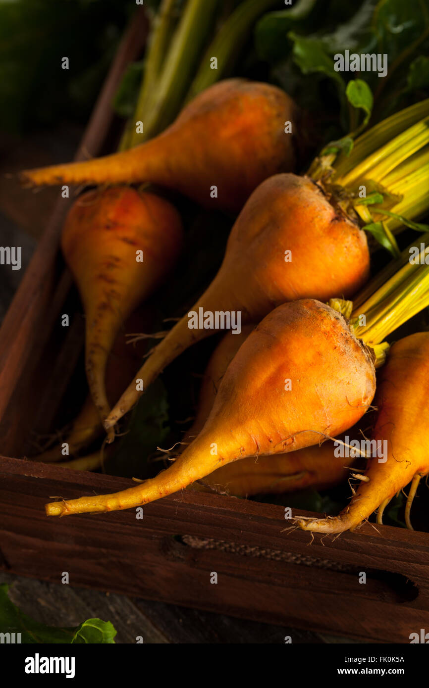 Rohe organische Golden Rüben in einer Box Stockfoto
