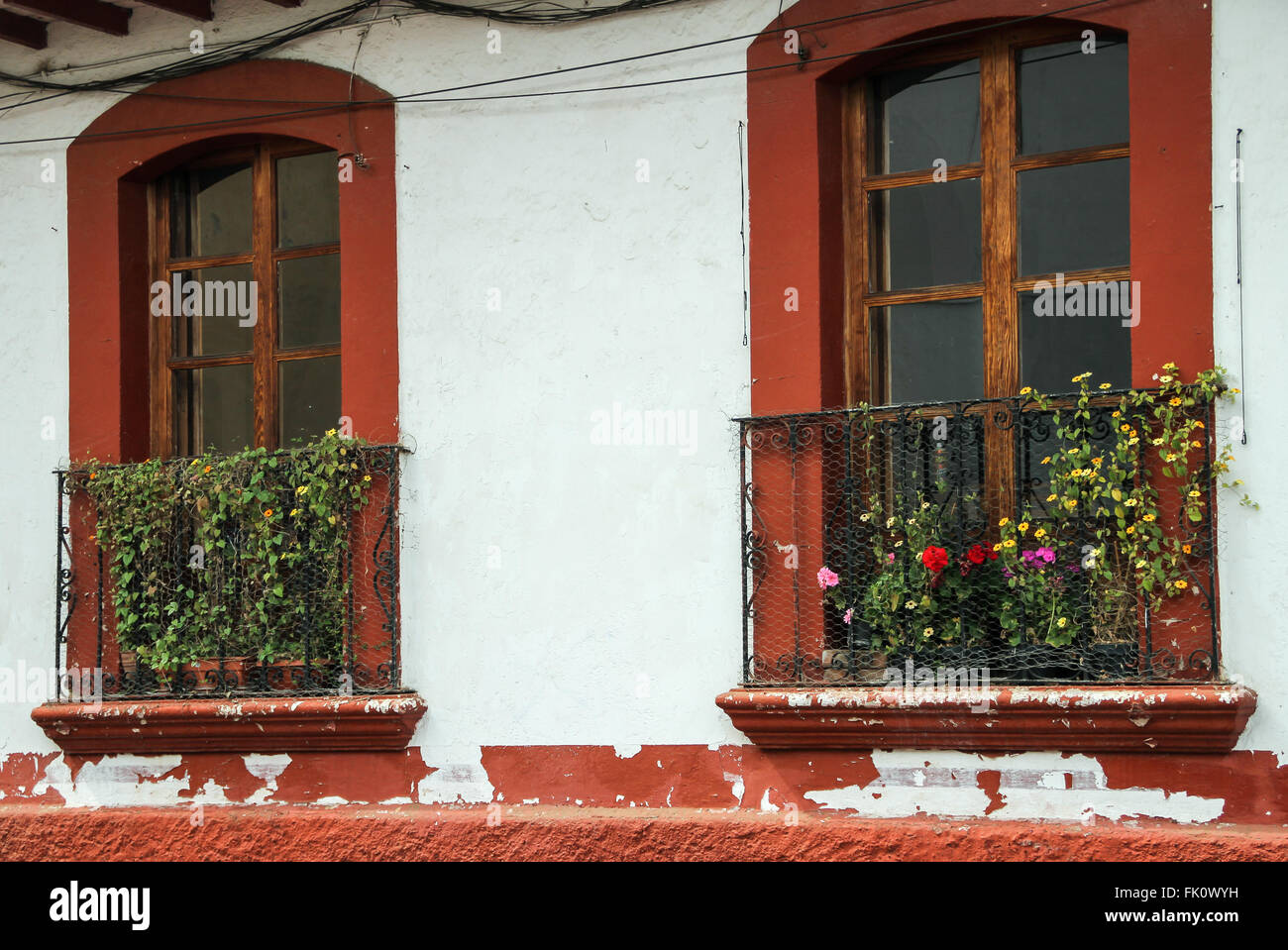 Zwei Fenster mit einigen Blütenpflanzen in einem mexikanischen Haus Stockfoto